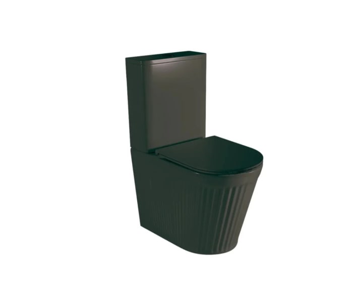 Inodoro compacto Fossil Natura Beca mate Principal 1