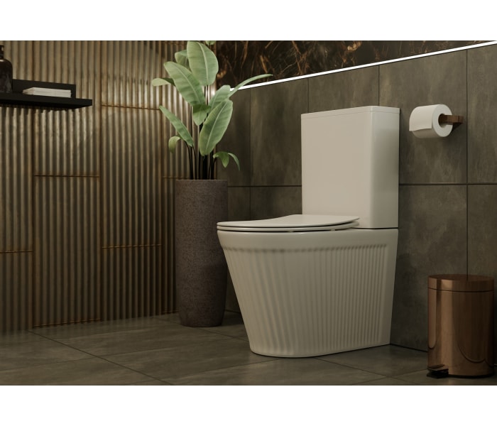 Inodoro compacto Fossil Natura Beca mate Ambiente 5