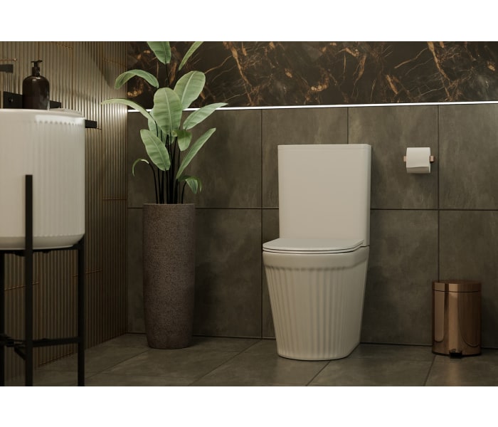 Inodoro compacto Fossil Natura Beca Ambiente 2