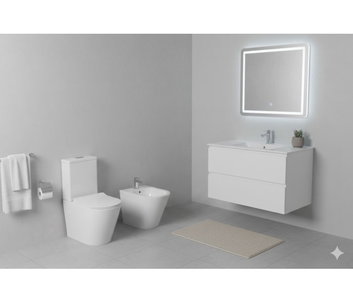 Pack inodoro compacto + bidé Fossil Natura Bolonia Ambiente 7