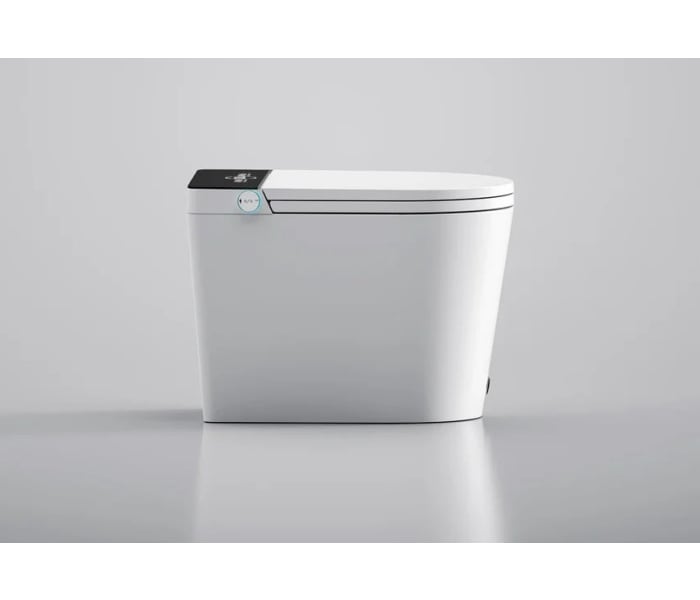 Inodoro inteligente Fossil Natura Aquila Detalle 5