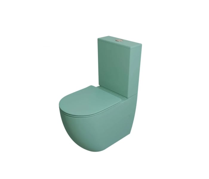 Inodoro compacto Fossil Natura Gales Principal 2