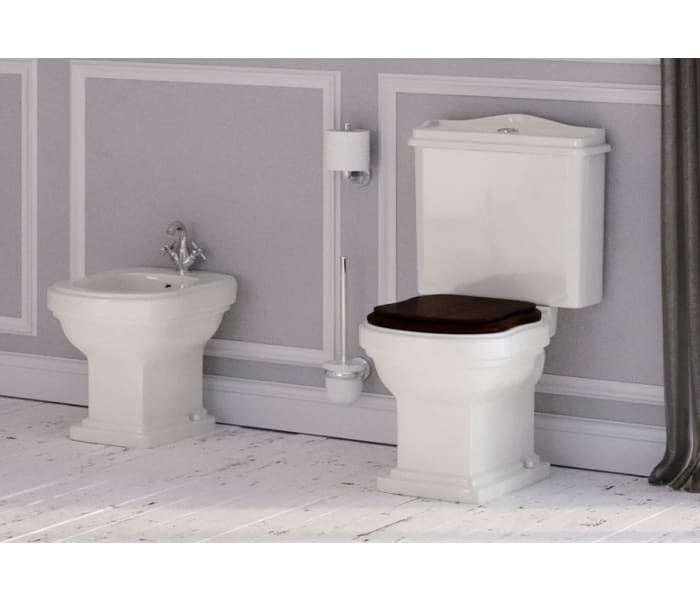 Inodoro compacto Fossil Natura Atenas con tapa ABS Ambiente 9