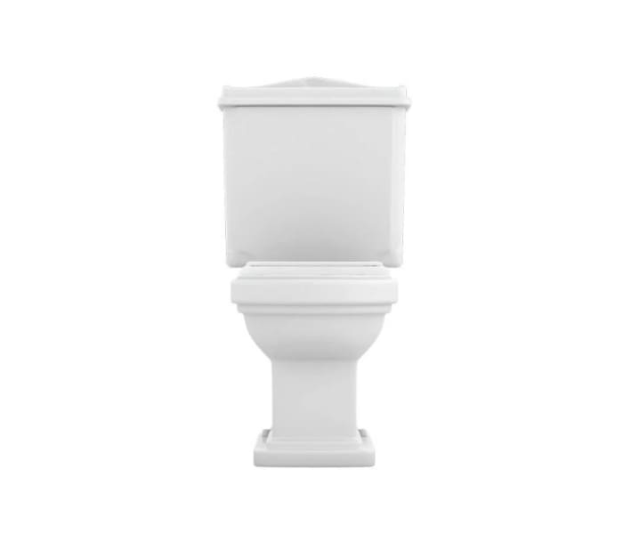 Inodoro compacto Fossil Natura Atenas con tapa ABS Detalle 5