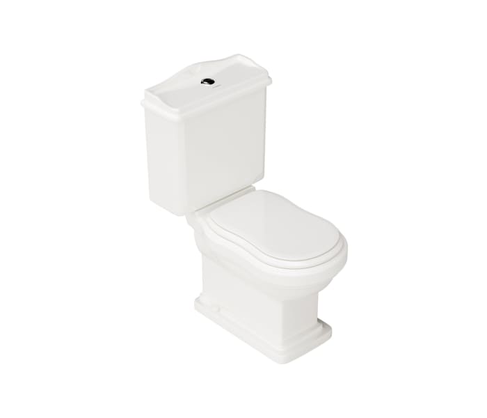 Pack inodoro compacto + bidé Fossil Natura Atenas Detalle 4