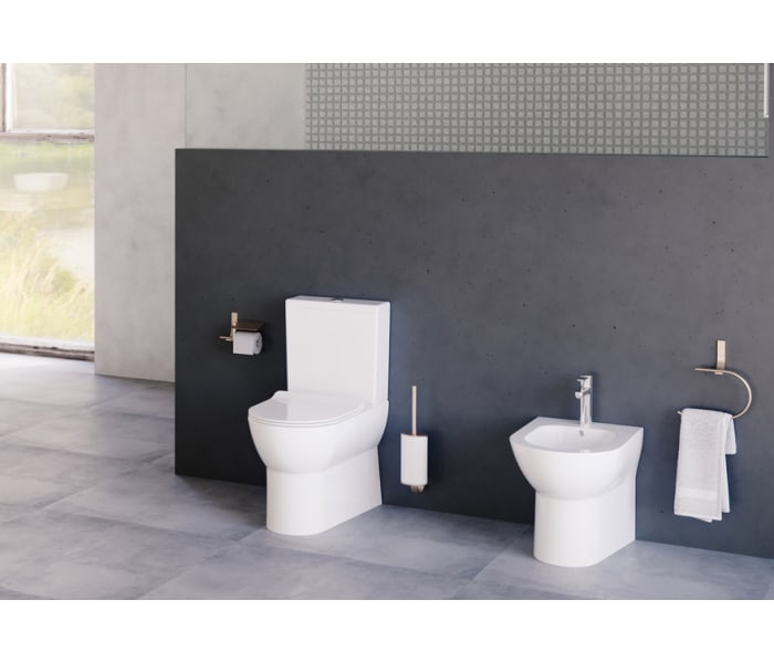 Inodoro compacto Fossil Natura Lyon Ambiente 2