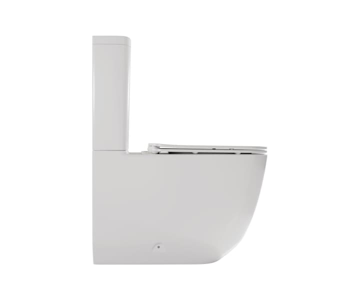 Inodoro compacto Fossil Natura Zen Detalle 1