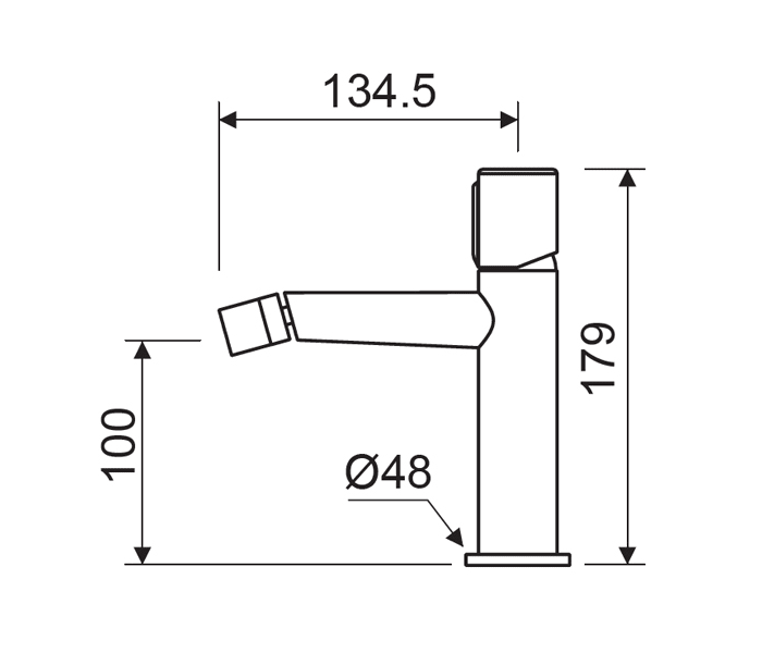 Grifo de bidé Lluvibath Tívoli Croquis 2