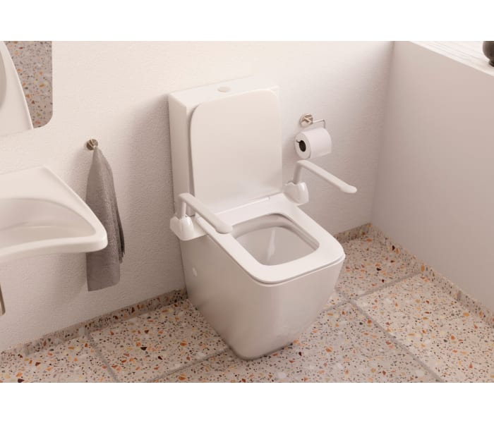 Inodoro compacto Fossil Natura Ébora PMR Ambiente 3