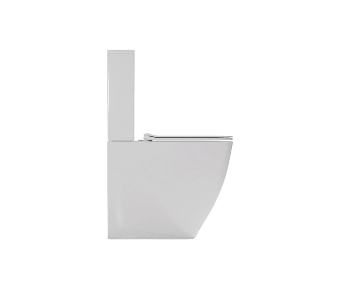 Inodoro compacto Fossil Natura Ébora PMR Detalle 2