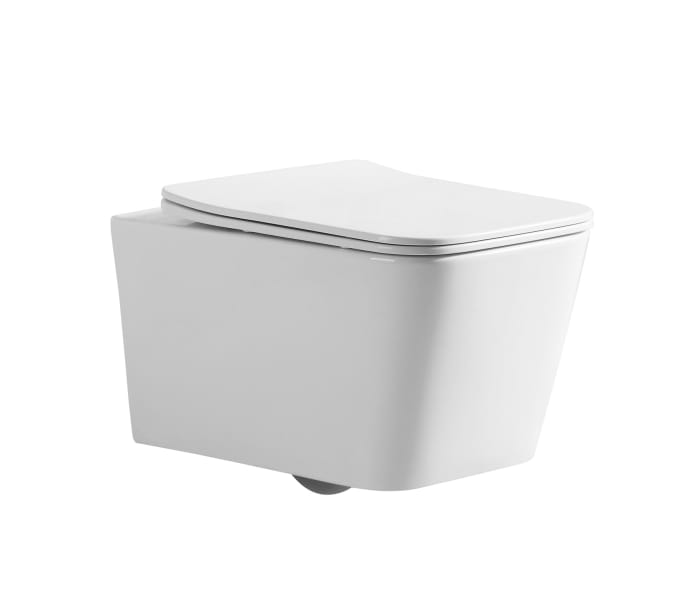 Pack inodoro + cisterna empotrada + pulsador Fossil Natura Florencia Detalle 1