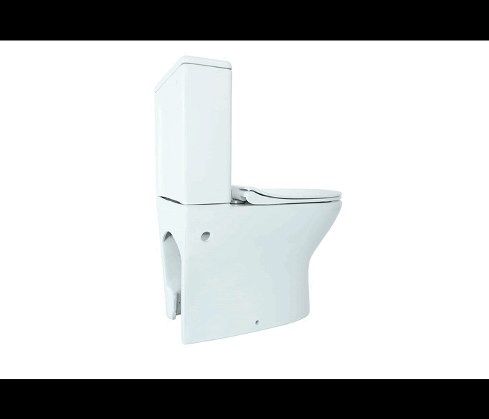 Inodoro compacto Fossil Natura Nico 3d 5