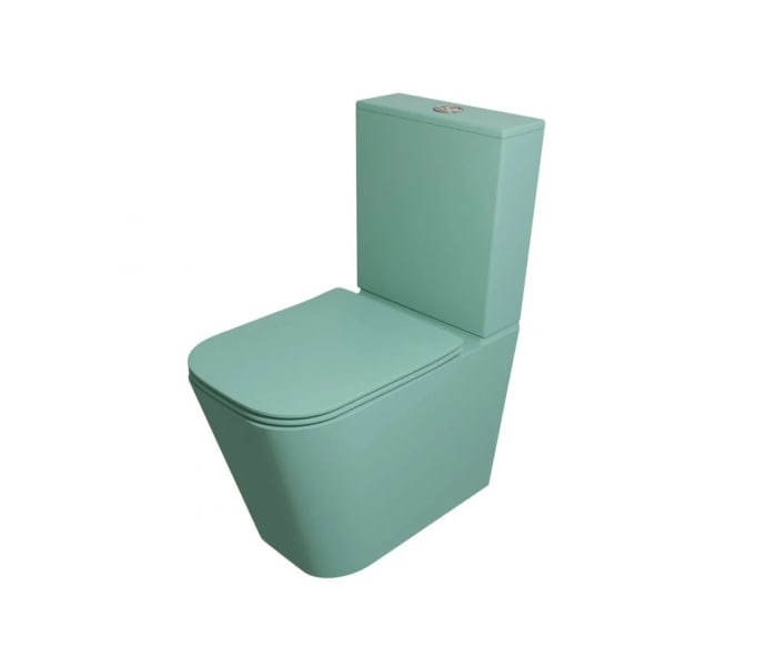 Inodoro compacto Fossil Natura Serene Principal 0