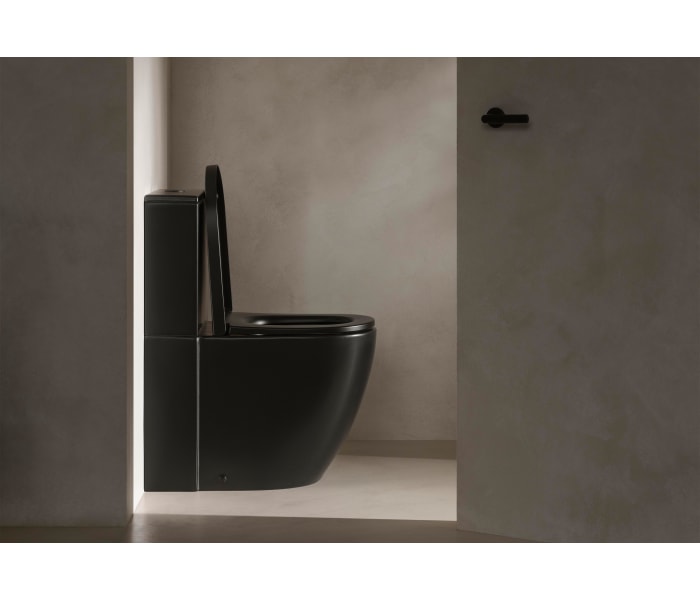 Inodoro Rimless Roca Meridian Ambiente 9