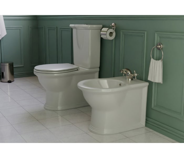 Pack inodoro compacto + bidé Fossil Natura Olimpia Principal 1