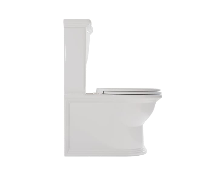 Inodoro compacto Fossil Natura Olimpia Detalle 2