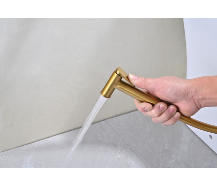 Ducha higiénica para inodoro Bless Imex Detalle 44