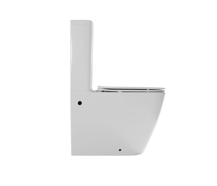 Inodoro compacto Fossil Natura Atlas Detalle 2