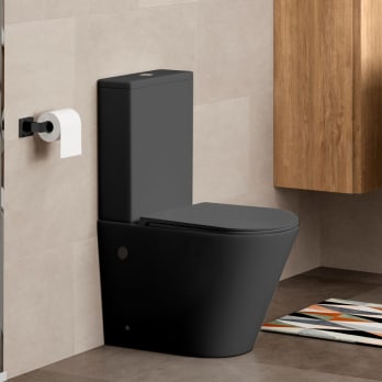 Inodoro de Bruntec Lisboa