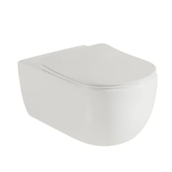 Inodoro Suspendido Fossil Natura Lijar