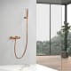 Grifo de ducha Imex Bless Ambiente 24