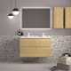 Conjunto Mueble de baño Avila dos Carmen Principal 3