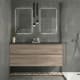Conjunto mueble de baño Avila Dos Carmen Principal 1