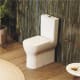 Inodoro Unisan Winner Confort Ambiente 3