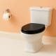 Inodoro de Bruntec Classic Detalle 3