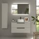 Conjunto mueble de baño Salgar Leni con lavabo sobre encimera Principal 4
