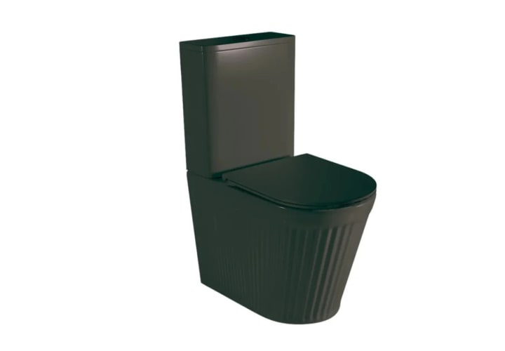 Inodoro compacto Fossil Natura Beca Principal 1