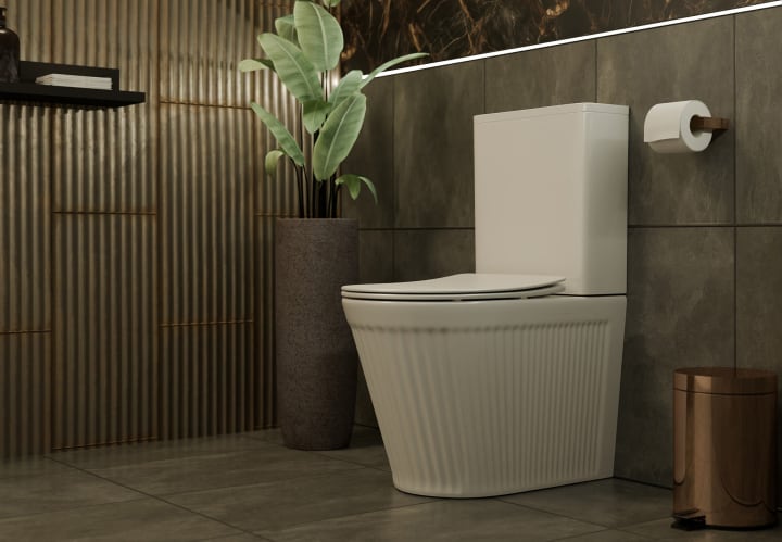 Inodoro compacto Fossil Natura Beca Ambiente 5