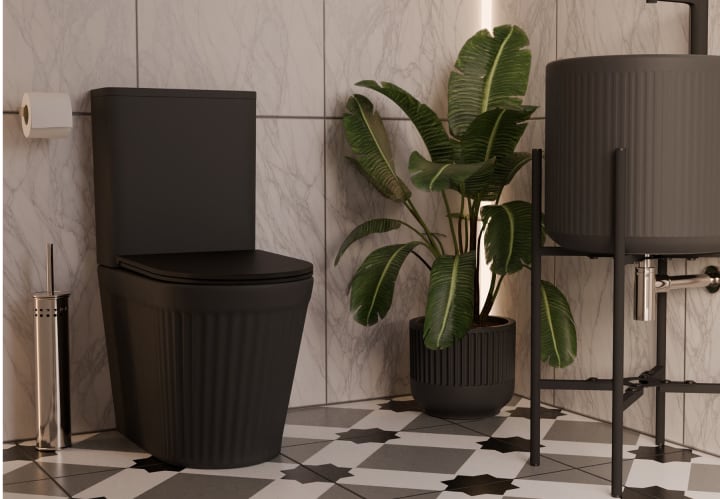 Inodoro compacto Fossil Natura Beca Ambiente 4
