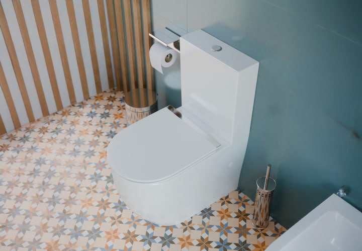 Inodoro compacto Fossil Natura Elba Ambiente 5