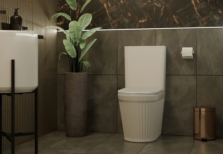 Inodoro compacto Fossil Natura Beca Ambiente 2
