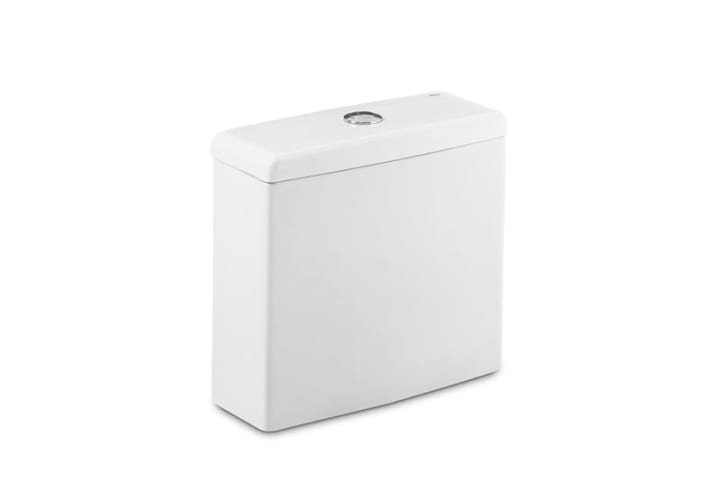 Inodoro Rimless Roca Meridian Detalle 1