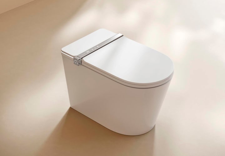 Inodoro inteligente Fossil Natura Lyra Ambiente 2
