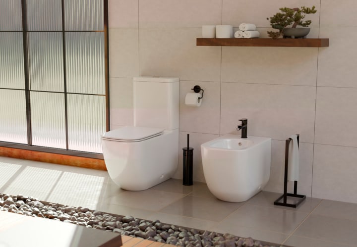Inodoro compacto Fossil Natura Zen Ambiente 4