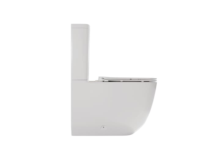 Inodoro compacto Fossil Natura Zen Detalle 2