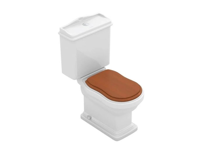 Pack inodoro compacto + bidé Fossil Natura Atenas Detalle 9