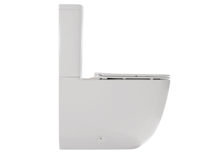 Inodoro compacto Fossil Natura Zen Detalle 1