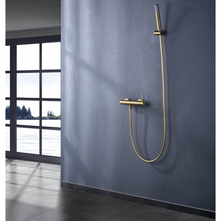 Grifo de ducha Imex Monza Ambiente 10