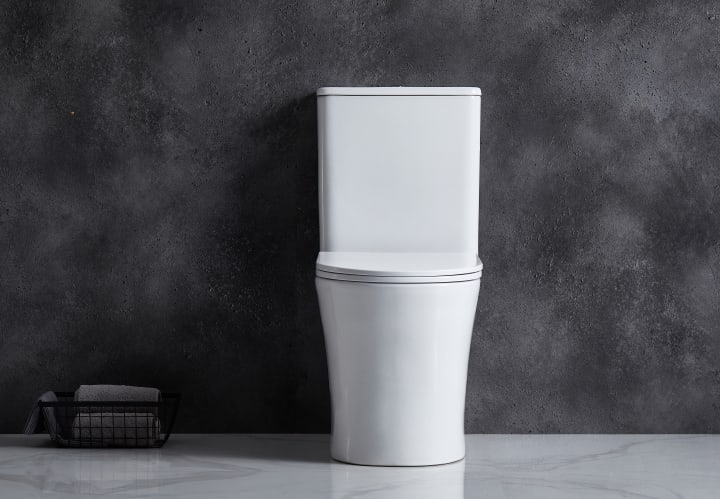 Inodoro Bruntec Paris Ambiente 8