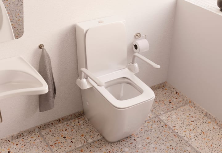 Inodoro compacto Fossil Natura Ébora PMR Ambiente 3