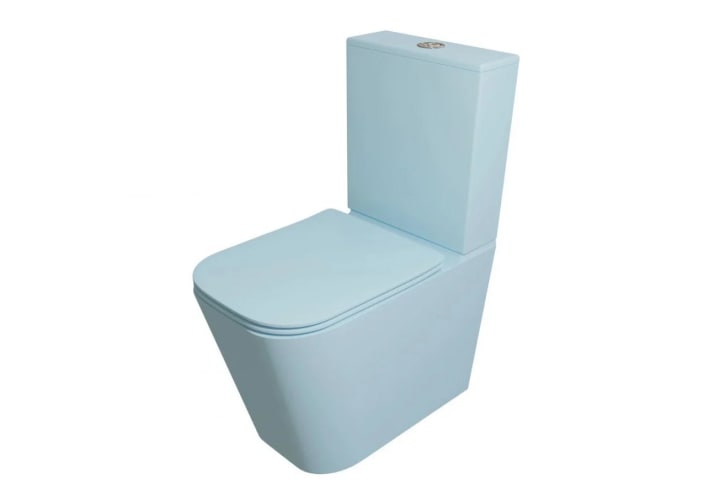 Inodoro compacto Fossil Natura Serene Principal 3