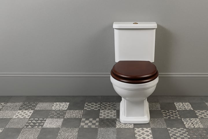 Inodoro de Bruntec Classic Detalle 2