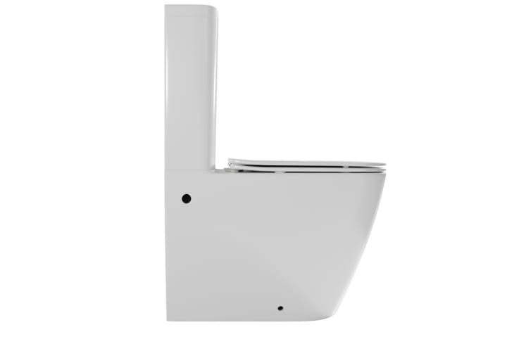 Inodoro compacto Fossil Natura Atlas Detalle 2