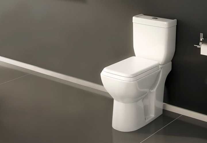 Inodoro compacto Fossil Natura Oslo PMR Ambiente 3