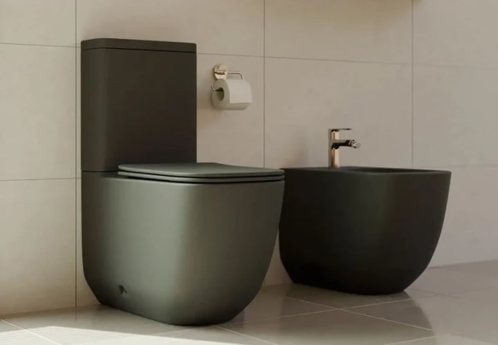 Inodoro compacto Fossil Natura Zen Ambiente 3