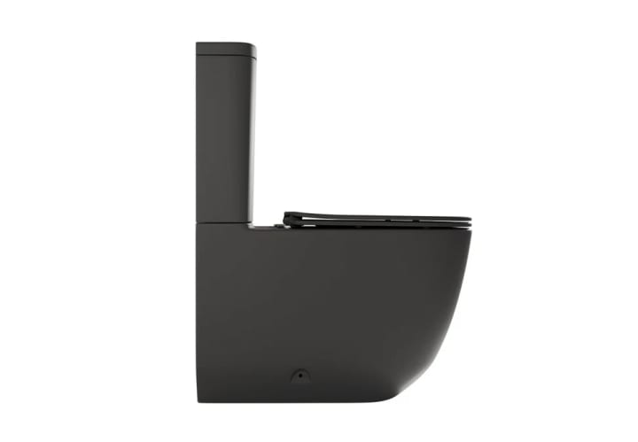 Inodoro compacto Fossil Natura Zen Detalle 2
